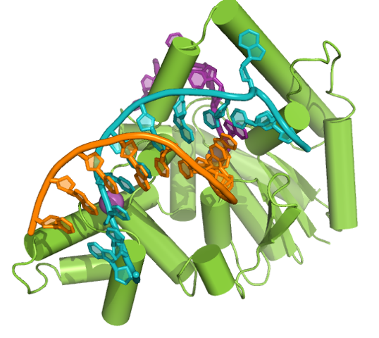 (Photo Credit: Jon Sayers, University of Sheffield) (Photo Credit: Jon Sayers, University of Sheffield)