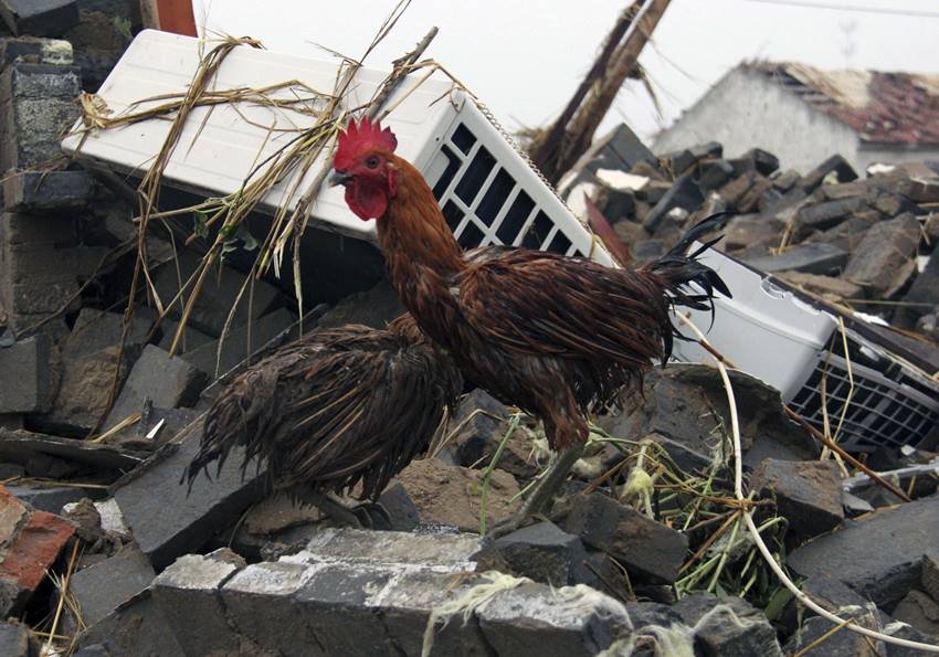 CHINA,STORM,Hurricane