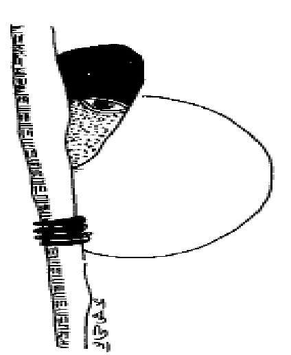 Admission problem, jansatta article, jansatta opinion