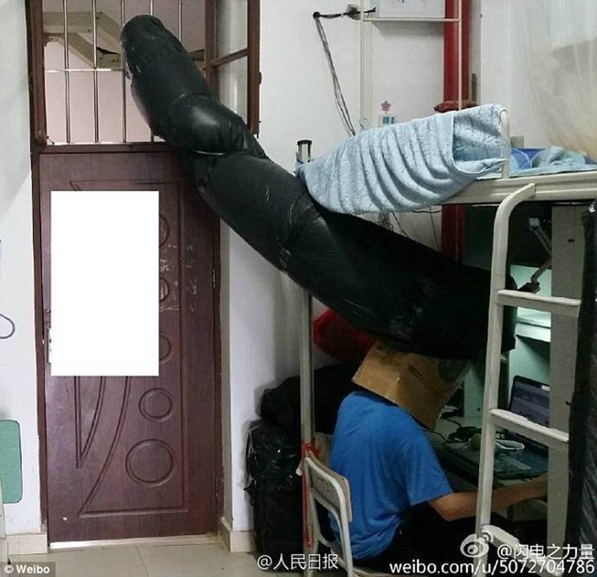 स्टूडेंट ने अपने इस अनोखे जुगाड़ की फोटो सोशल मीडिया पर भी डाल दी। जिसके बाद लोगों ने इस लड़के की क्रिएटीविटी के लिए जमकर तारीफ की। इसके अलावा लोगों के बीच इस बात को लेकर भी बहस छिड़ गई कि यूनिवर्सिटी क्षेत्र में सिगरेट पीने को लेकर प्रतिबंध लगना चाहिए।