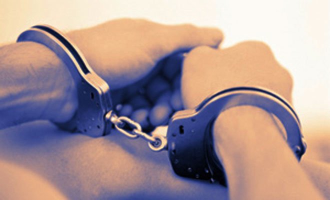 more than 10kg beef, recovered, house, old lady, arrested, up news