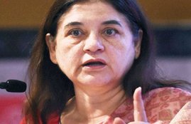 Maneka Gandhi, twitter, trolled