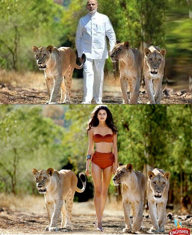 Narendra Modi, Narendra modi pics, PM Modi, PM Modi pics, modi photoshop, modi photoshopped pic, modi photoshopped images, Narendra Modi sweeping photos, Narendra Modi social media photos, Modi viral photos, Modi viral pics, modi photoshop facebook, modi facebook photos, Photoshopped BJP, photoshop, PM Modi Photoshopped pictures, PM Modi Photoshopped pics
