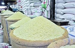 सरकार ने 2016-17 के लिए 3.3 करोड़ टन चावल खरीद का लक्ष्य रखा