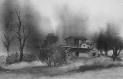 उषा महाजन की कहानी : एक्टिविस्ट