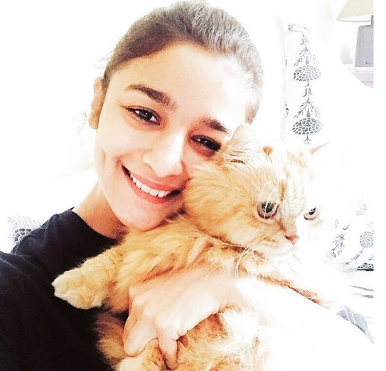 alia cat