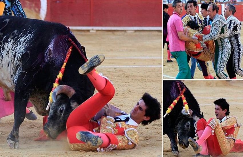 Víctor Barrio, bullfight, bullfighter