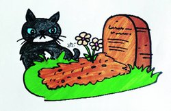 मणिपुरी परी-कथा : खुप्तिंग और डमबोंग