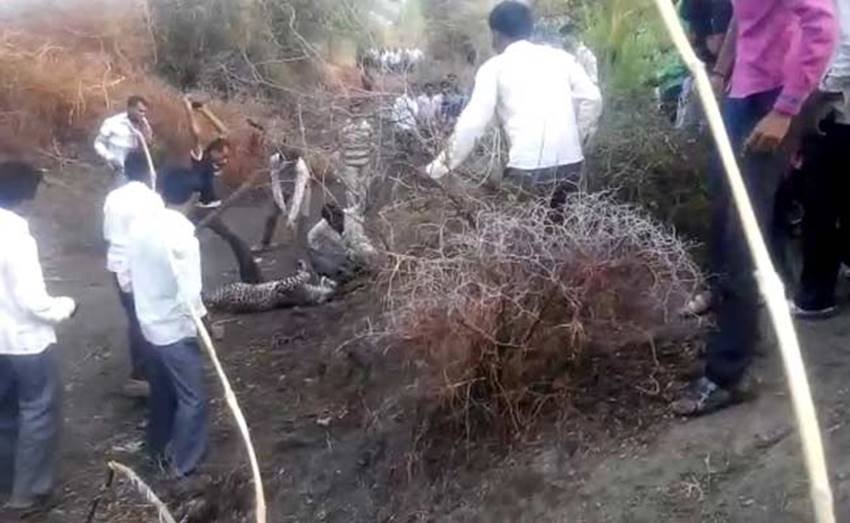 (Photo Source: YouTube) (Photo Source: YouTube)