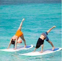 मलाइका ने सभी तस्वीरों का एक कोलाज बनाकर शेयर किया था।