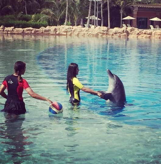 दुबई में वह डॉलफिन बे पर भी गईं। वहां उन्होंने डॉलफिन्स के साथ भी मस्ती की ।