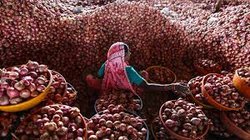 मप्र में किसानों से खरीदे गए 15 से 20 फीसद प्याज के खराब होने का अंदेशा