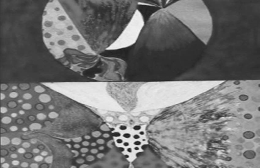 jansatta, ravivari, poem,