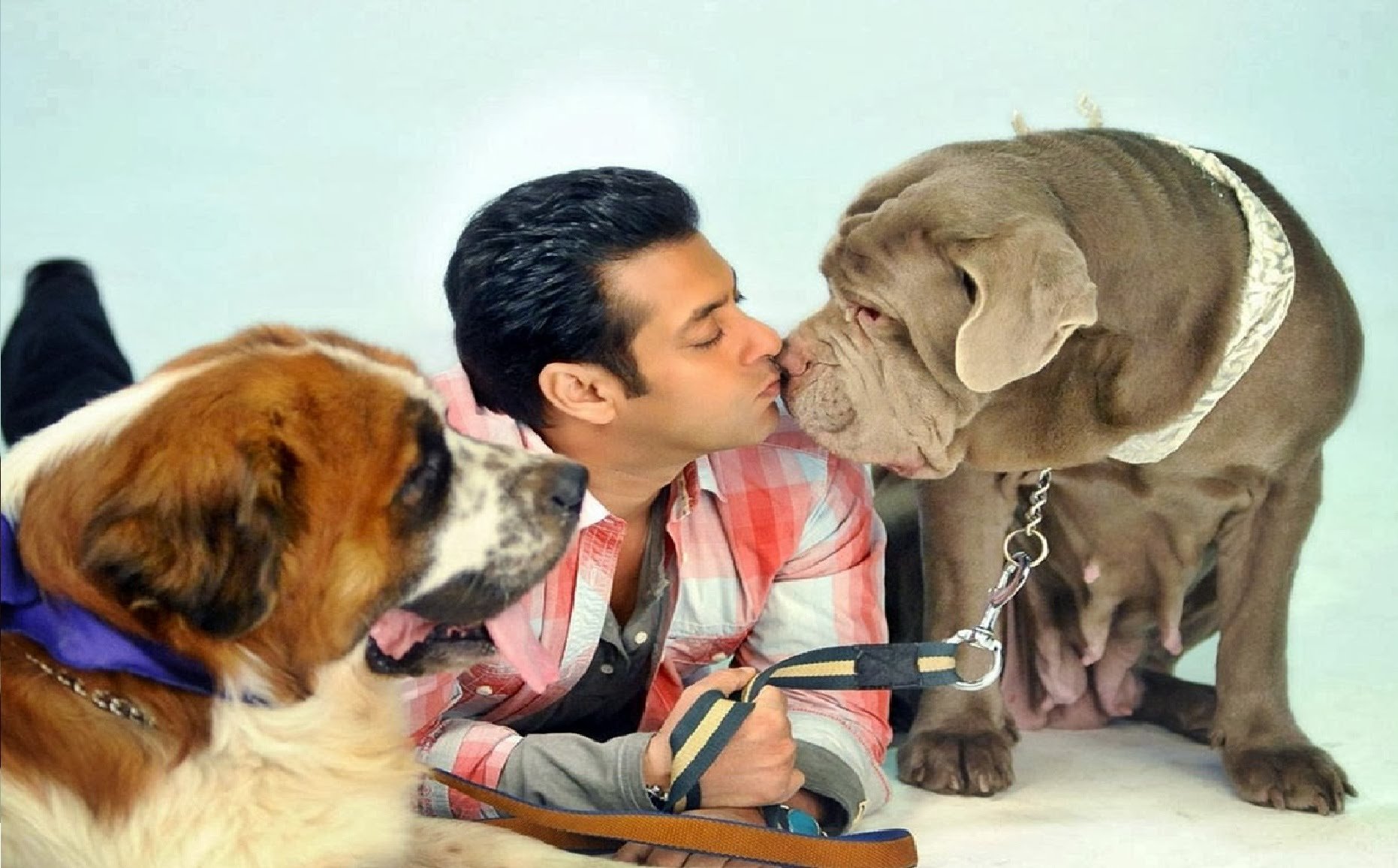 सलमान का डॉगलव को जग जाहिर है। उनके सामने तो आप 'कुत्ता' शब्द का इस्तेमाल भी नहीं कर सकते। अपने पेट वीर की मौत पर वह बहुत दुखी हुए थे।