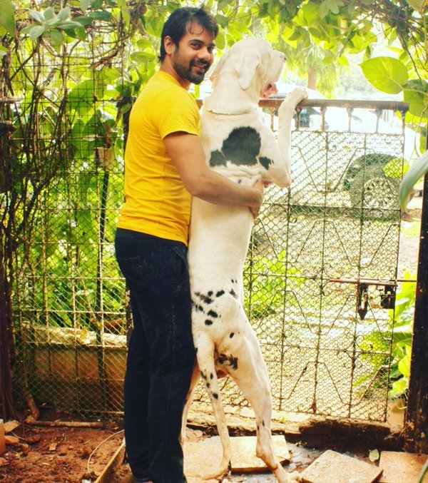 शब्बीर के डॉग का नाम मैग्नस है।