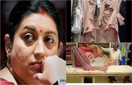 Cabinet reshuffle,Smriti Irani,Prakash Javadekar