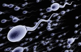 Sperm Count, How To Increase Sperm, Ayurveda Tips, Ayurveda Remedies, Sexual Problems, Men Sexual Problems, Herbal Remedies, Health NEws In Hindi, Lifestyle News In Hindi, Jansatta