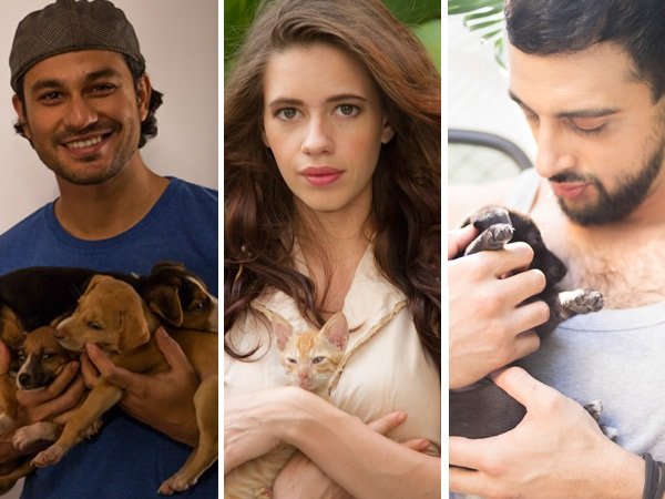 सेलिब्रिटीज अकसर ही सोशल मीडिया पर पेट्स के साथ अपनी सेल्फी शेयर करते रहते हैं।