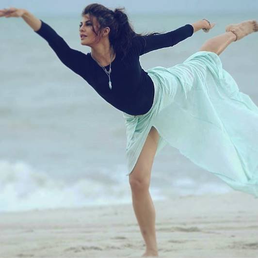 जैकलीन फिटनेस और ऑर्गैनिक फूड पर डॉक्यूमेंट्री बनाना चाहती हैं। वह जानवरों की भलाई के लिए भी काम करना चाहती हैं।