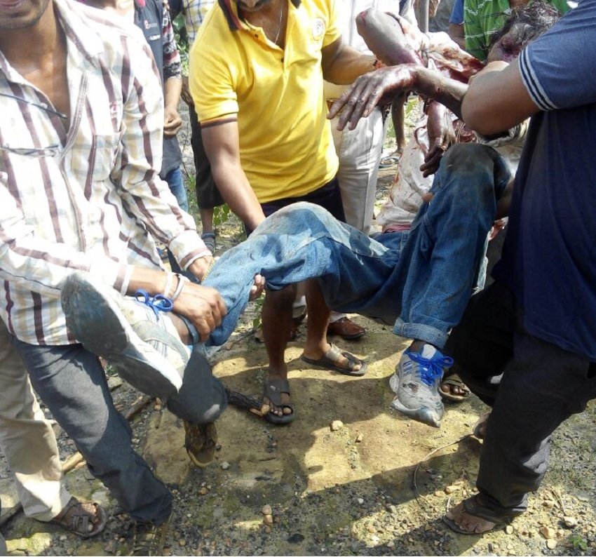 Bear, Bear Attack, Korea, Chhattisgarh, Forest, Attack on villegers