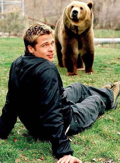 ब्रेड पिट की साल भर की कमाई भी अक्षय कुमार के बराबर ही है। वो एक साल में 31.5 मिलियन डॉलर कमाते हैं।