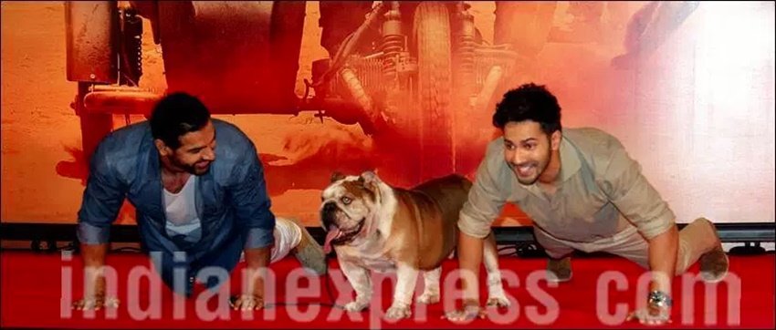 Dishoom, Dishoom box office, Dishoom Collection, Varun Dhawan, John Abraham, Jacqueline Fernandez, Dishoom box office collection, Dishoom movie box office collection, Dishoom movie collection, Varun Dhawan Dishoom, John Abraham Dishoom, Varun Dhawan Latest news, John Abraham latest News, Jacqueline Fernandez news, Entertainment News