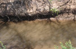 Delhi Crime news, eight year old kid, found dead, ditch