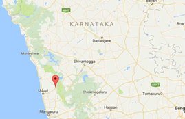 Karnataka, right wing group, cow tranporters, Hindu Jagran, Karnataka Hindu jagran, Karnataka Cow, Karnataka News, Karnataka latest news