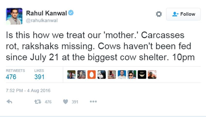 Lalu prasad yadav, cow, rahul kanwal