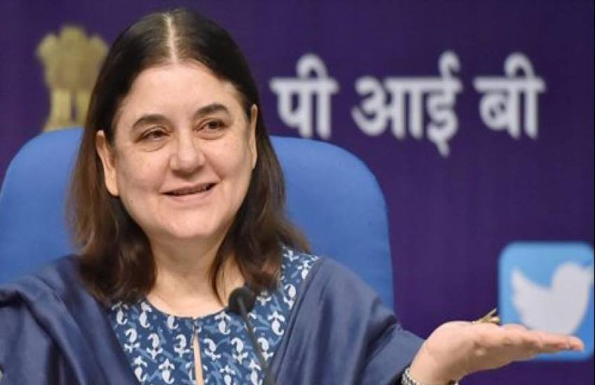 Maneka Gandhi, Maneka Gandhi Lok Sabha, Kiren Rijiju, MoS Home, Union Woman and Child Welfare Minister, Rajya sabha, Solitaire, Mobile Game, Hindi News, India News, Jansatta