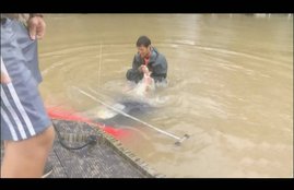 woman Rescued, woman Rescued From Sinking Car, woman Rescued From Sinking Car Video,