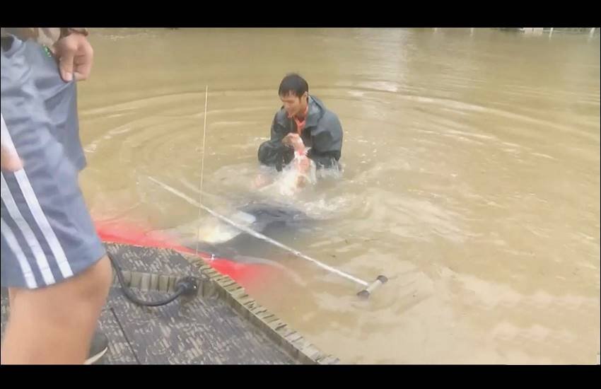 woman Rescued, woman Rescued From Sinking Car, woman Rescued From Sinking Car Video,