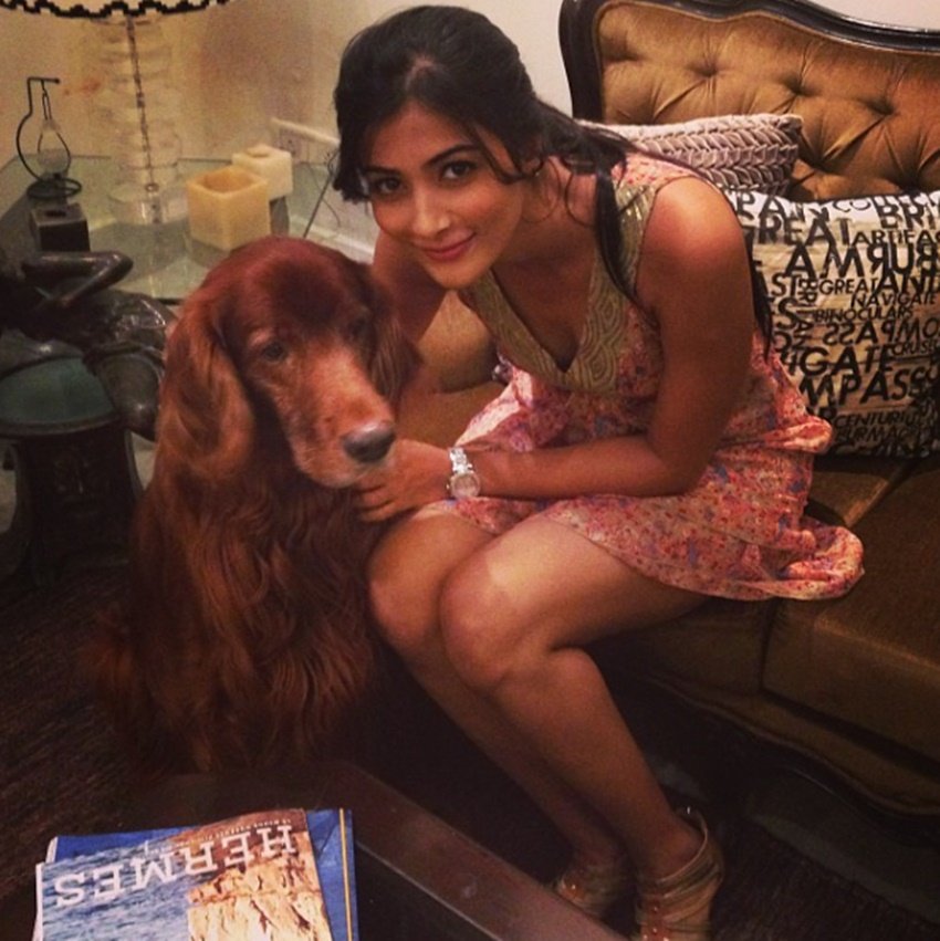 Pooja Hegde, Mohenjo Daro, Hrithik Roshan, know about Pooja Hegde, Pooja Hegde movie, Pooja Hegde career, Pooja Hegde love story, Pooja Hegde Mohenjo Daro, Mohenjo Daro release, Pooja Hegde photo, Pooja Hegde hot photo, Pooja Hegde news, entertainment news, jansatta