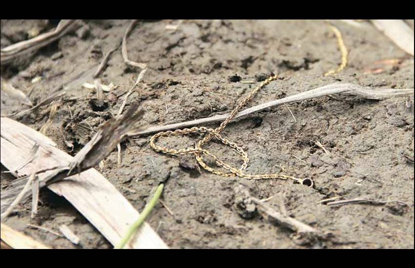 Arjuna award rape, Arjuna award shooter, Arjuna award rape case, Arjuna award rape FIR, delhi rape Fir