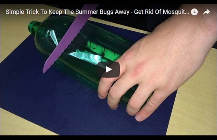 SF Globe, how to build a mosquito trap, mosquito trap Video, viral Video, catch mosquitoes, get rid of mosquitoes, DIY mosquito treatment, Jansatta