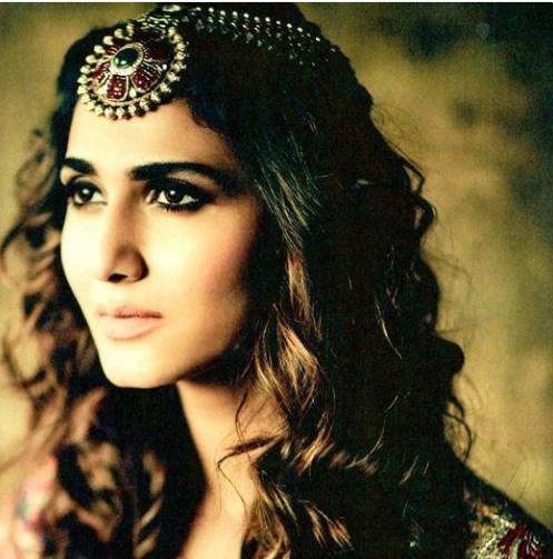 वानी के पापा का फर्नीचर एक्सपोर्ट का बिजनेस है।