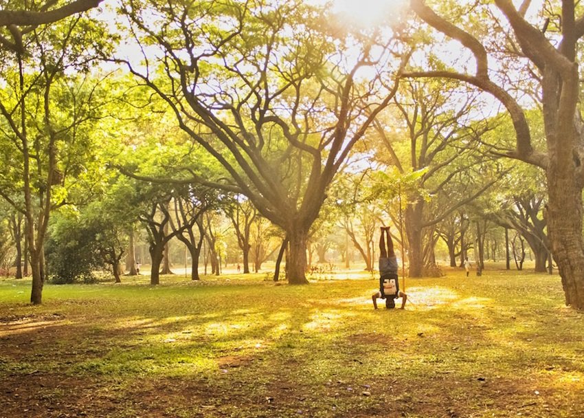 Vinay Pateel, Vinay Pateel bengaluru, Vinay Pateel instagram, Vinay Pateel social media, Headstands, Headstands pic, travelling,