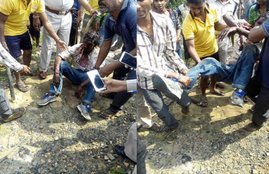 Bear, Bear Attack, Korea, Chhattisgarh, Forest, Attack on villegers,