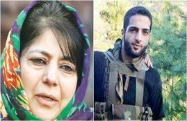 kashmir, pdp, burhan wani