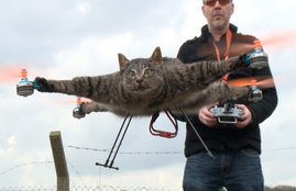 drones, dead animals, copter company, cat, cat drone, tech news
