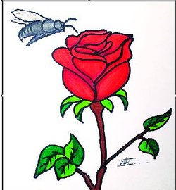 कलियों ने गीत गुनगुनाए