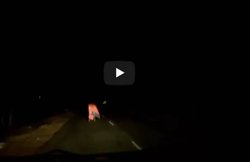Viral Video: भारत के मशहूर एक्टर के कैमरे में कैद हुआ यह वीडियो, जिसे देखकर ड्राइवर….