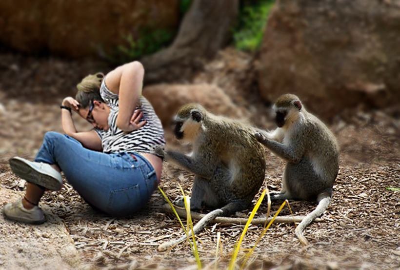 girl, viral photo, girl caught sleeping in library