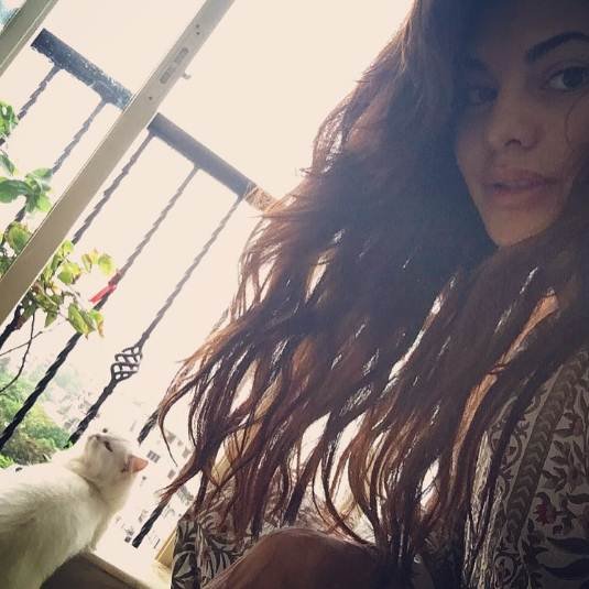 Jacqueline Fernandez, celebrity, Jacqueline Fernandez dishoom, dishoom Jacqueline Fernandez, Jacqueline Fernandez a flying jatt, a flying jatt Jacqueline Fernandez, Jacqueline Fernandez stardom, stardom Jacqueline Fernandez, Jacqueline Fernandez actress, actress Jacqueline Fernandez, Jacqueline Fernandez latest news, Jacqueline Fernandez latest updates, entertainment news