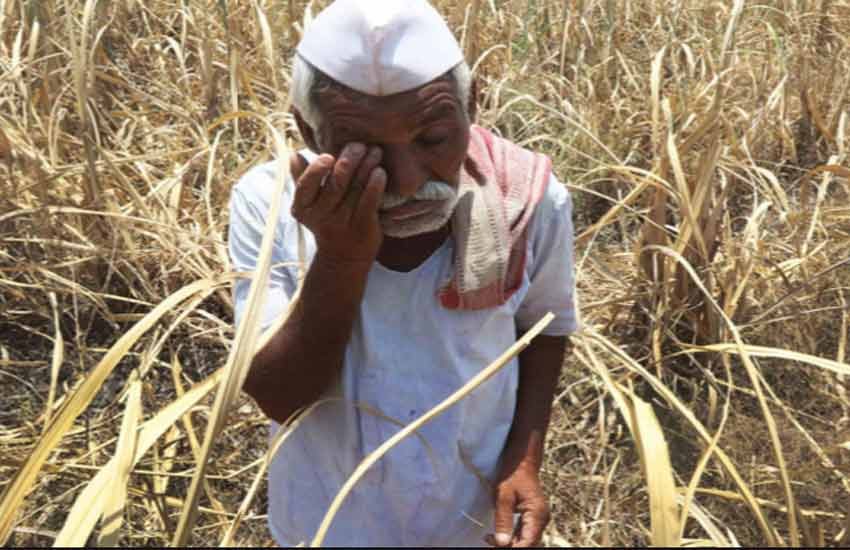 Osmanabad, Maharashtra, suicide in Maharashtra