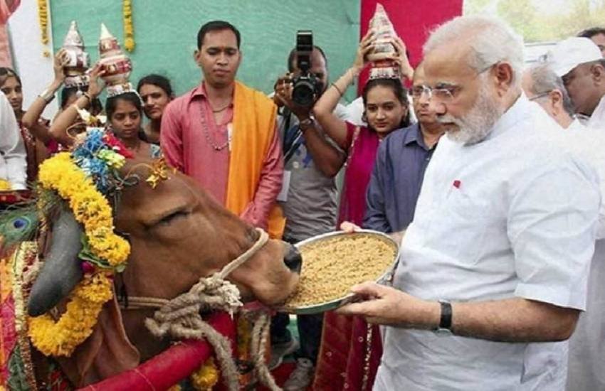 गाय के साथ नरेंद्र मोदी