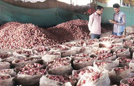 Onion, Onion Rates, Nashik, Vegetables, Vegetables rates, farmers, Onion price, Madhya Pradesh
