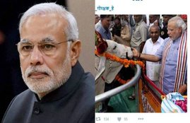 pm modi, pm modi on gaurakshak, गर्व_से_कहो_गौरक्षक_है