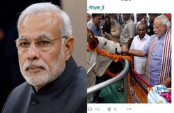 गौरक्षकों वाले बयान पर पीएम मोदी से नाराज हुए लोग, बोले- 2019 में हिमालय जाने की तैयारी कर लेना