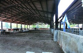 slaughter house, slaughterhouse, BJP, Satya Sharma, EDMC, Delhi, Delhi Slaughterhouse, killing, Illegal curb, up administration, up cm yogi, yogi government, vigorously against slaughterhouses, slaughterhouses